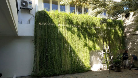 Foto 7